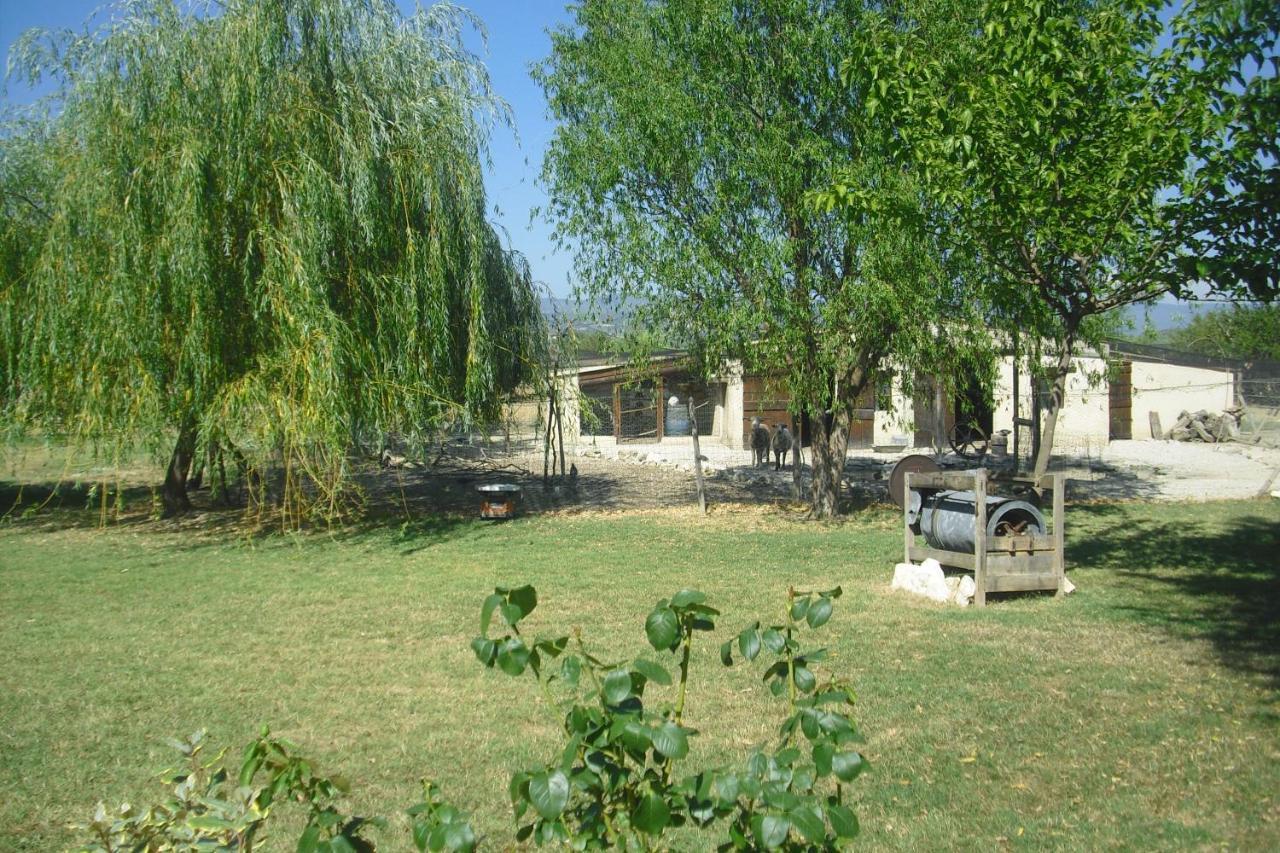 Lou Mas Li Pitchoun "L'Olivade" Apartment Gordes Exterior photo