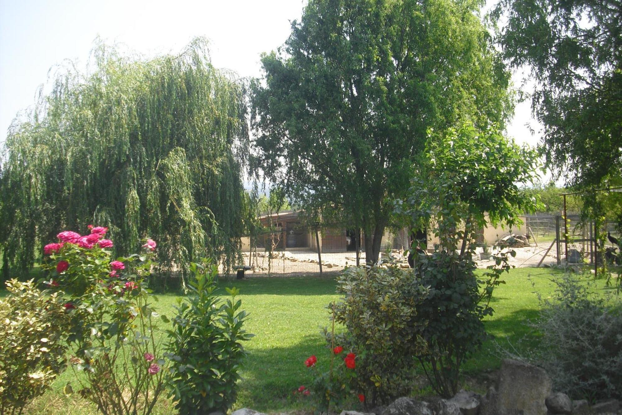 Lou Mas Li Pitchoun "L'Olivade" Apartment Gordes Exterior photo